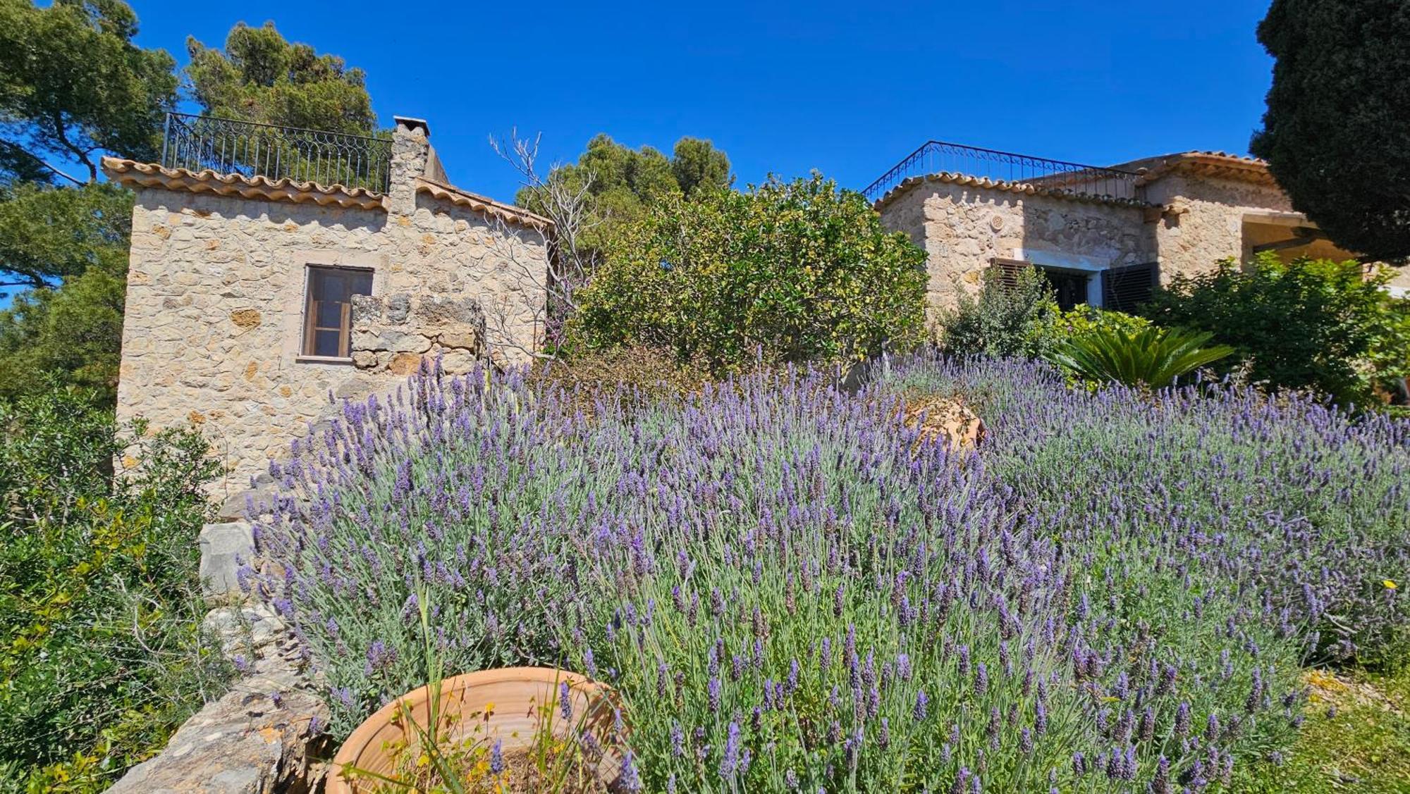 Asis De Marratxinet Turismo De Interior Hotel Exterior photo